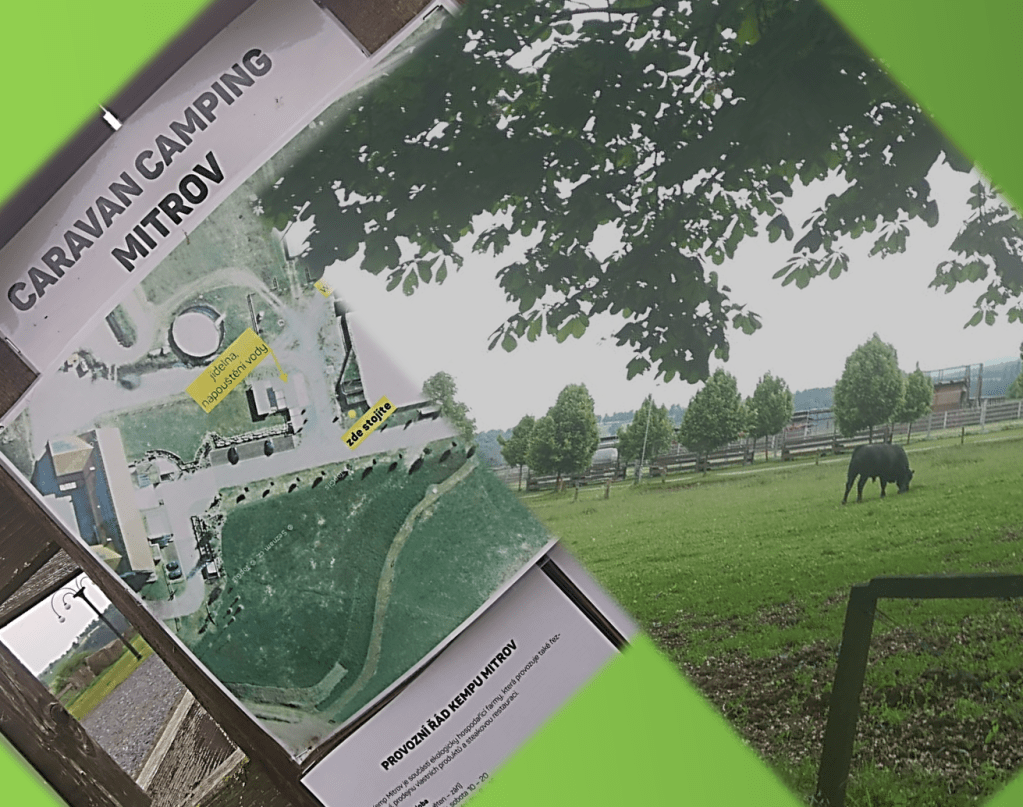 Steak a kempování – zážitek na&nbsp;Bystřicku