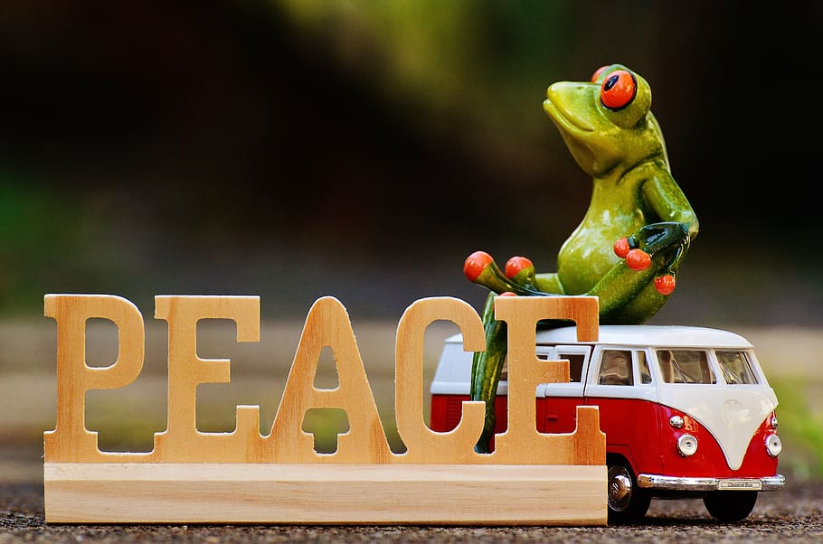 Týden 33  2021  – výběr&nbsp;novinek