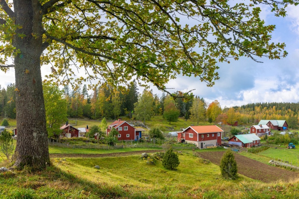 ACamp – bezkempu na severu a jihu&nbsp;Evropy